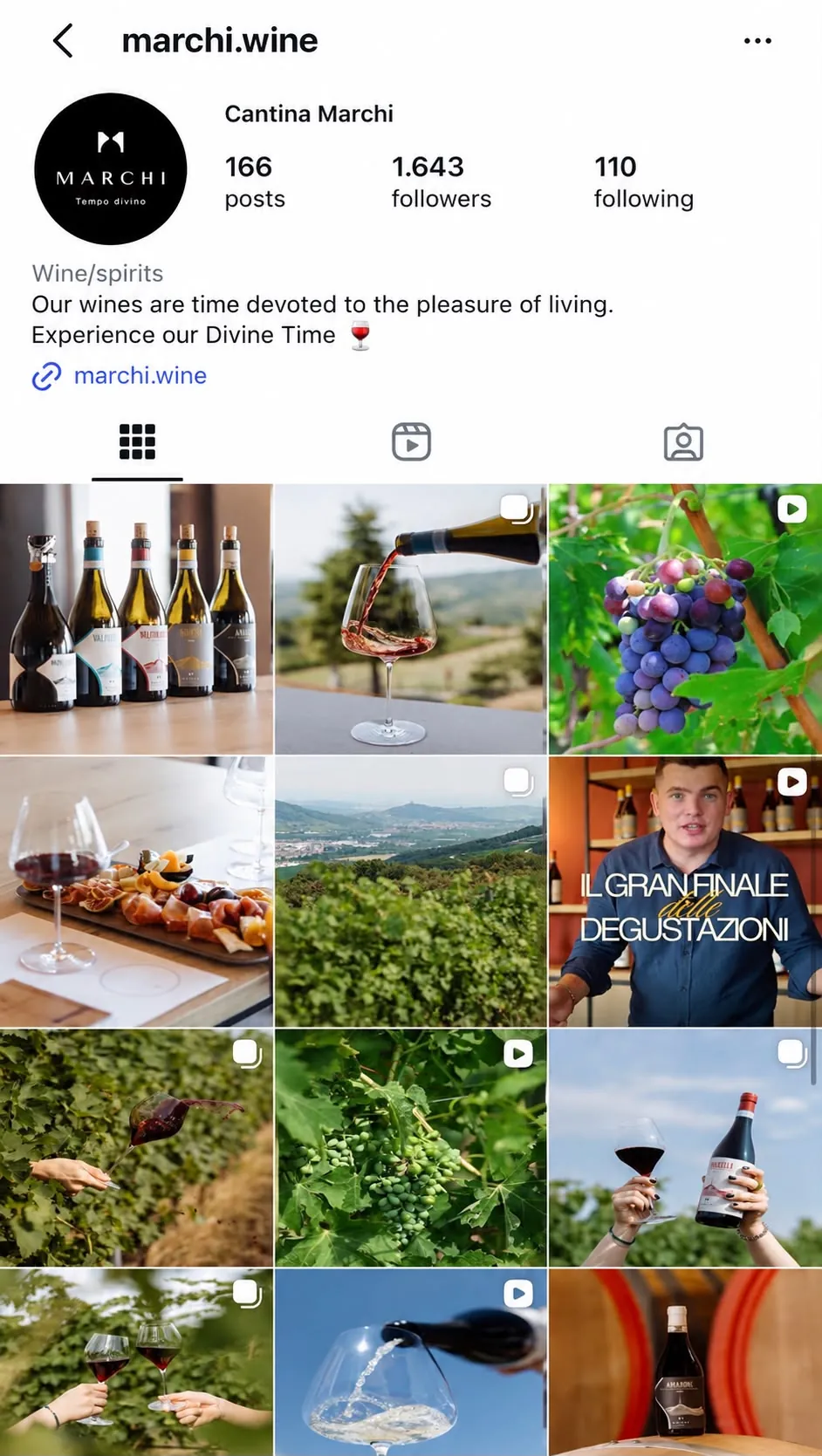 marchi Instagram profile presentation