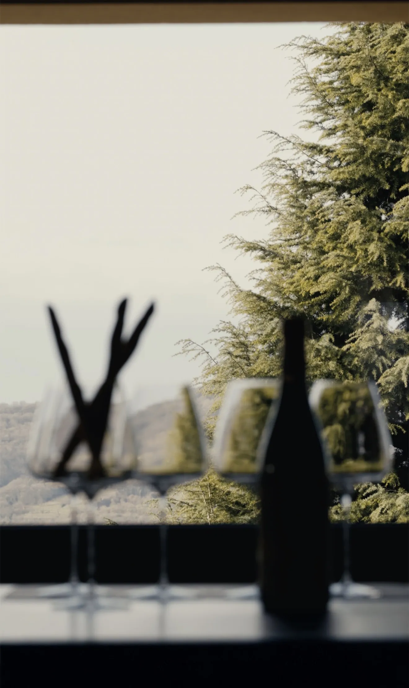 Wine silhouette overlooking the landscape